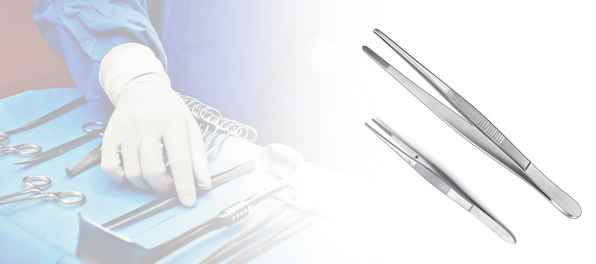 Dissecting Forceps
